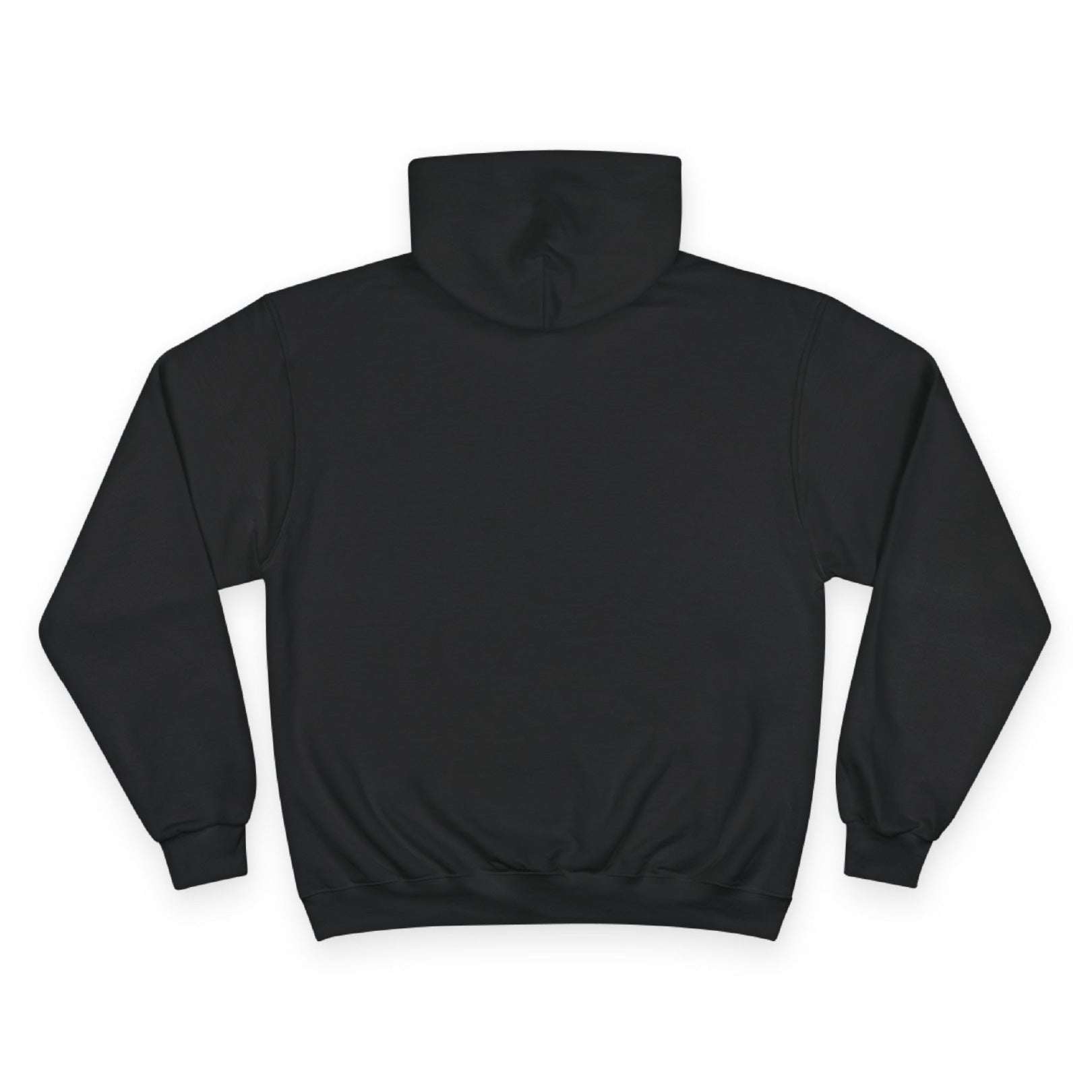 Back view of the For The Craic FTC Stripe Hoodie - Black