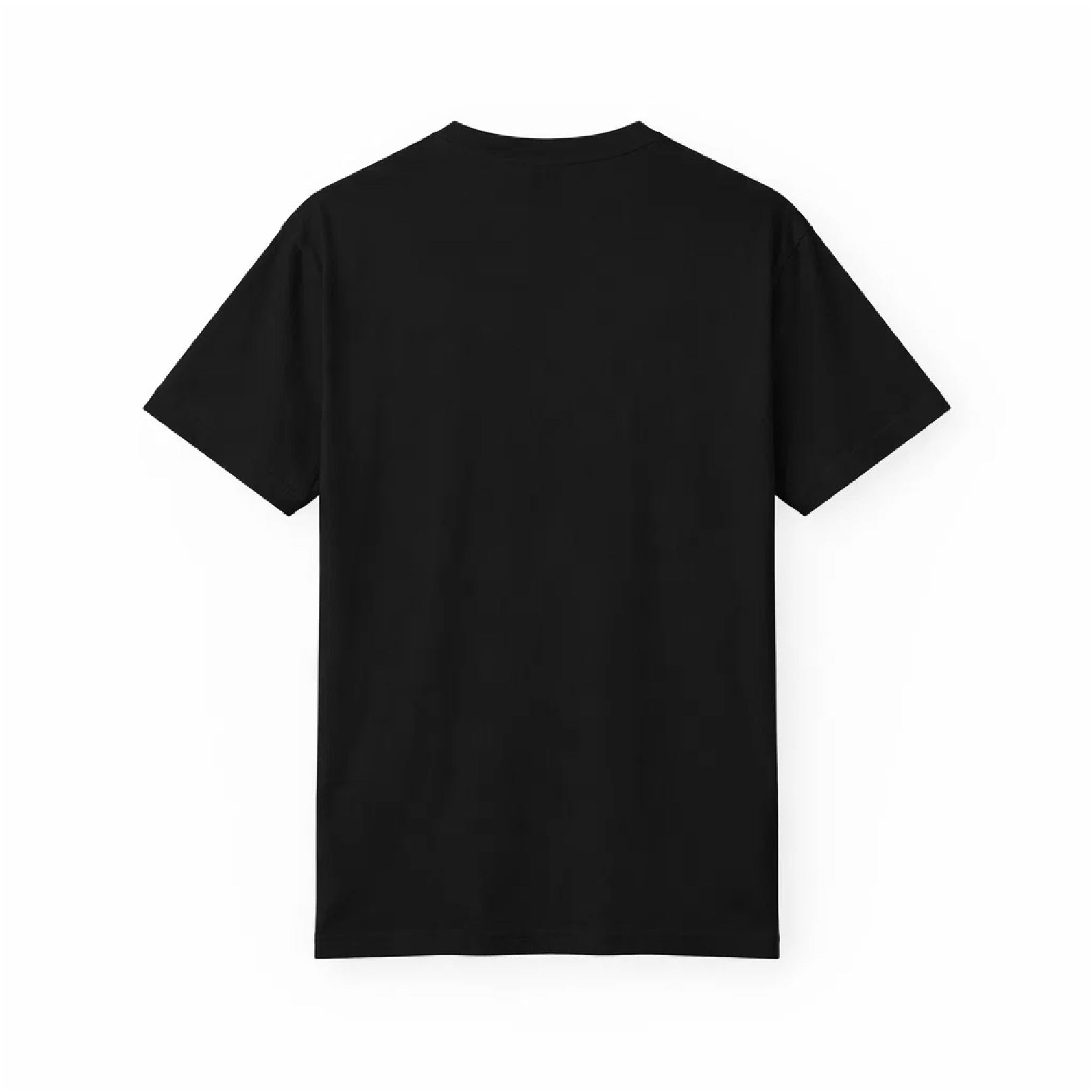 Back view of the For The Craic FTC Stripe Tee - Black