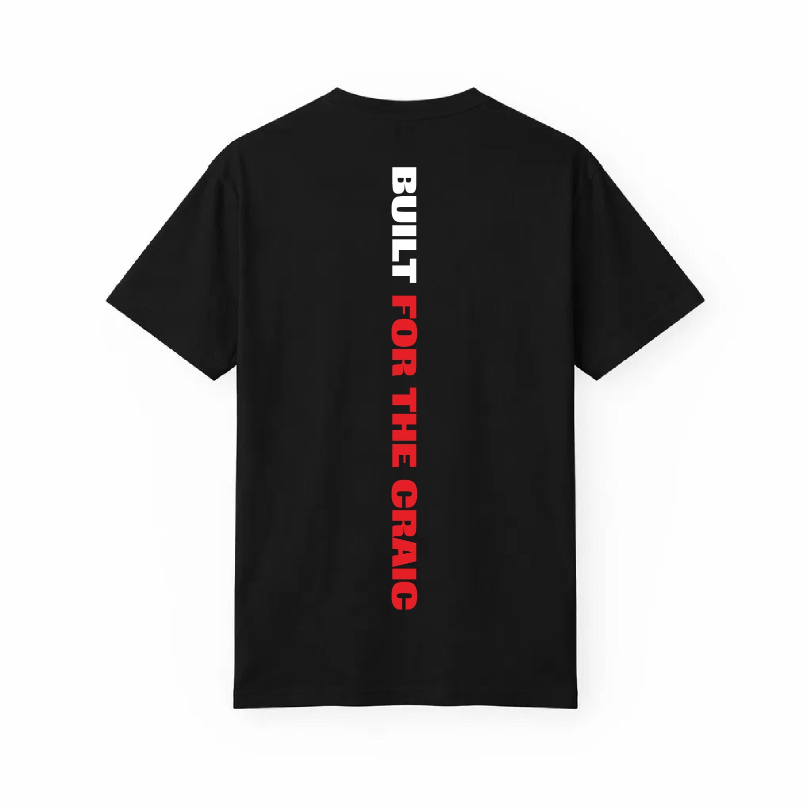 Back view of the For The Craic Built For The Craic Tee - Black